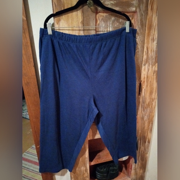 Woman Within Capri Set - Picture 2 of 6